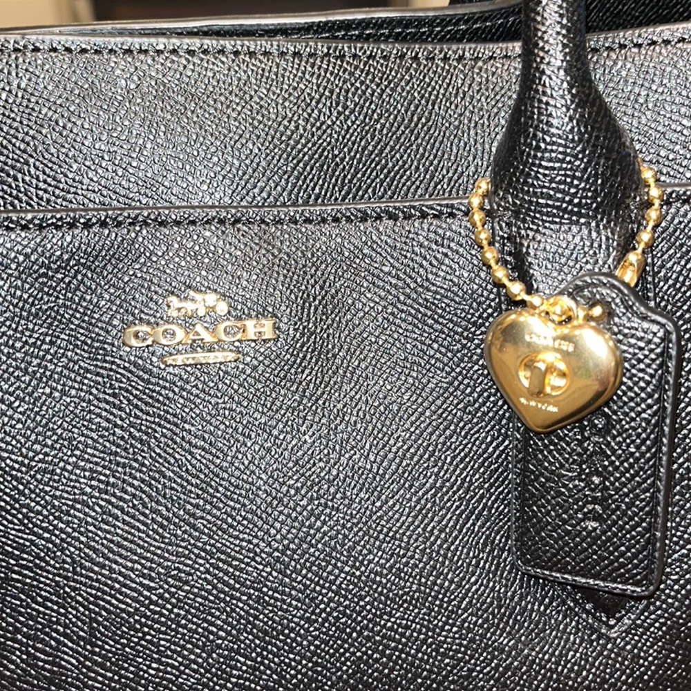 Coach 24218 Bailey Carryall Handbag - Picture 2 of 12